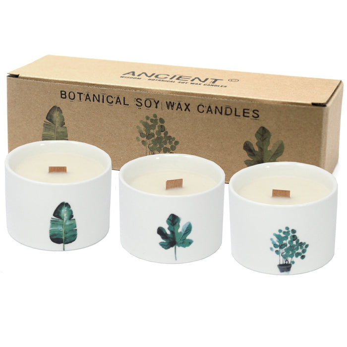 Med Botanical Candles - Mullberry Harvest