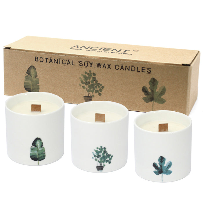 Large Botanical Candles - Marsh Violet