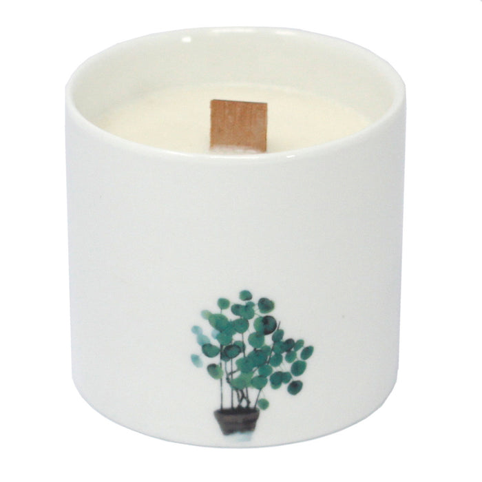 Large Botanical Candles - Marsh Violet