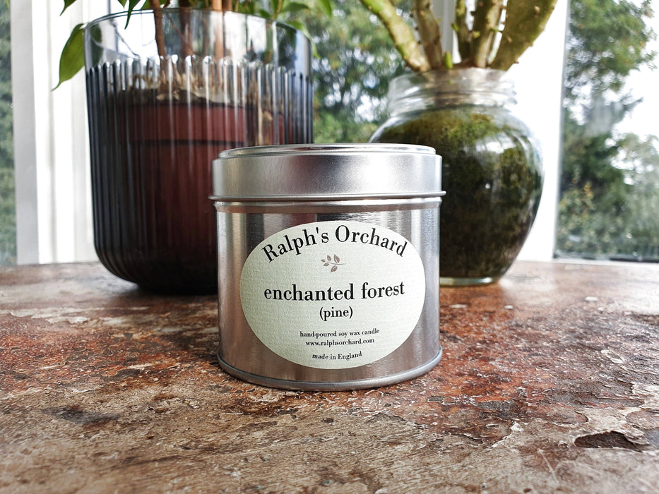 Enchanted Forest (Pine) Scented Candle-2