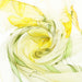 Daffodils - 100% Pure Silk Scarf-2