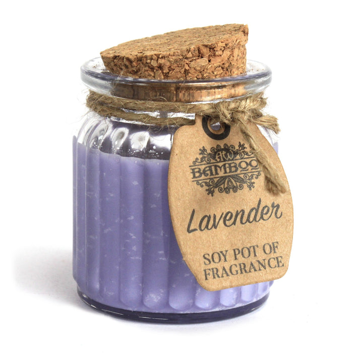 Lavender Soy Pot of Fragrance Candles